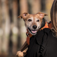 happy car owner keys